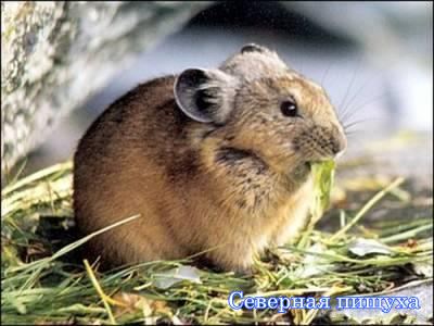 �������� ������