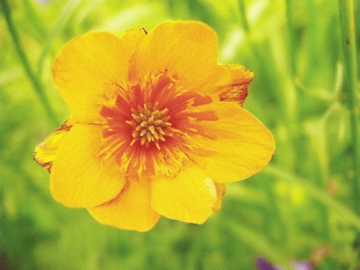 ���������� ���������